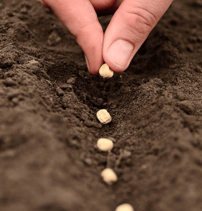 Informacion de Diferencias